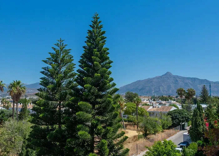 San Pedro *